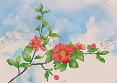 山茶花 【酷图网】手绘,插画,山茶花,花,绿叶,红花