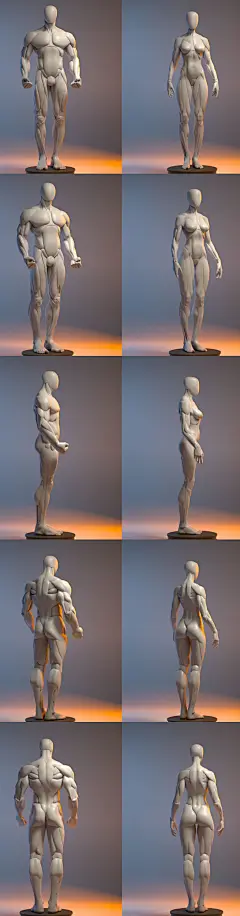 ArtStation - Anatomy in motion