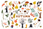 卡通风格的彩色秋叶。季节性横幅。九月秋天。十月派对。11月销售。涂鸦花卉元素。手绘矢量植物学集.