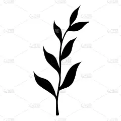 带有叶子矢量图标的分支。手绘插图孤立在白色背景。带叶子的树枝的黑色剪影。野外植物的植物学素描。单色的