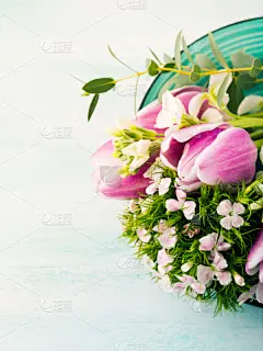 郁金香,玫瑰,春天,蜡笔画,垂直画幅,美,贺卡,留白,复活节,情人节