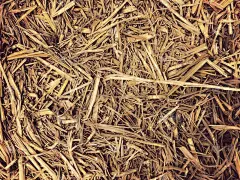 草,背景,干草,干的,国境线,高雅,壁纸,纹理效果,稻草,复古