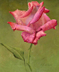 【油画 | 玫瑰花】阿列克谢·安东诺夫(Alexei Antonov)，俄罗斯艺术家，1957年出生于俄罗斯。曾在俄罗斯，阿塞拜疆和意大利学习艺术。