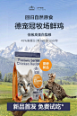 正中皇冠旗舰店