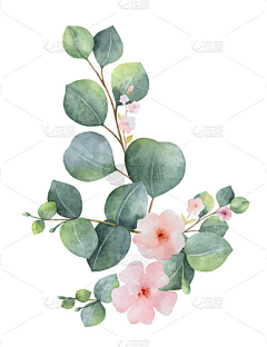 白开水!采集到花花