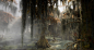 Swamp Giants