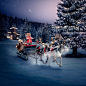 TELE2 Christmas visuals : Tele2 Christmas visuals