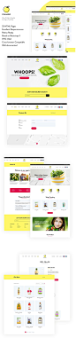 网站模板 | 有机食品商店HTML模板