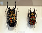 日本艺术家 AKIHIRO HIGUCHI 樋口明宏：甲虫髹漆 ​​​​
