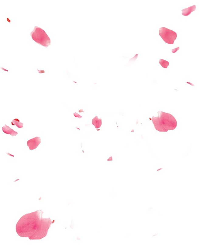 落花素材