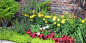 Bridwell Estate l Edmond traditional-garden