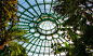 laeken-royal-greenhouses-flickr.jpg (1280×780)