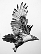 Dream of Flight ~Carbon pencil drawing by William Harrison