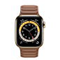 MY962_VW_PF+watch-40-stainless-gold-cell-6s_VW_PF_WF_CO (1400×1400)
