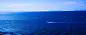 tanja-cotoaga-EwAmH_eObiw-unsplash
