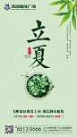 立夏微信-01