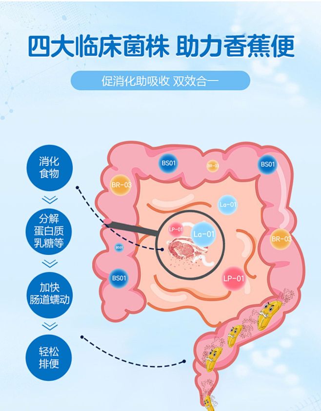 小精灵益生菌咀嚼片 儿童调理肠胃 婴幼儿...