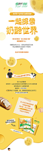 奶酪科普长图-源文件