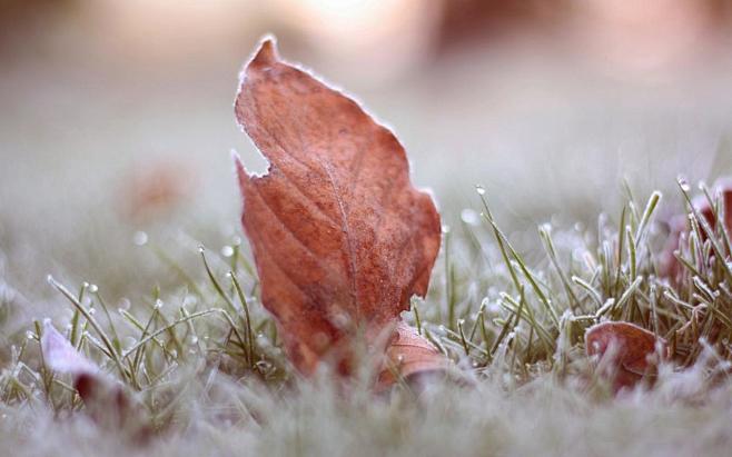 [唯美雪景壁纸]