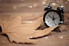 秋天 桌面背景 干叶 4K壁纸1920X1080 酷背景 Mac壁纸