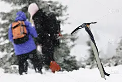 攀冰,冰镐,水平画幅,雪,人群,偏远的,白色,冬天,山,安全的