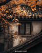 来自相册