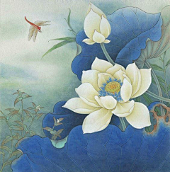 Dan`joo采集到花