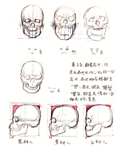 西瓜端采集到【人体结构】