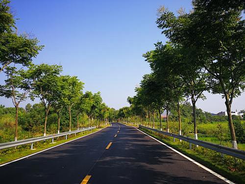 美丽乡村道路景观_百度图片搜索