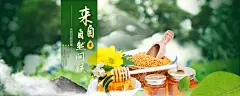 电商农副产品蜂蜜BANNER