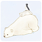 a y u ​​​​