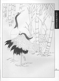 泡沬采集到动物白描画集