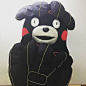 #熊本熊# #kumamon#