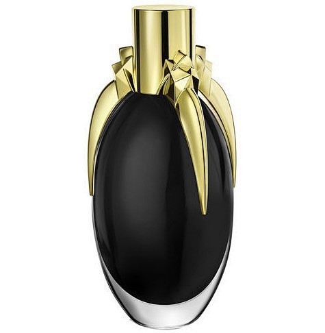 Lady Gaga Fame 嘎嘎首款重...