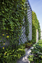 拨开绿藤门，走进办公室 DESINO Eco Manufactory Office,© Hiroyuki Oki