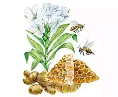 水彩手绘 | 挪威插画师 Kateryna Savchenko唯美怡人的水彩插画 : 　　 　　 　　水彩画 　　本期插画师 　　Kateryna Savchenko 　　挪威插画师 Kateryna Savchenko 的创作主要是水彩画。 　　她为俄罗斯、乌克兰、智利、美国、新加坡等国的各种企业绘画，包括纸业，摄影工作室、婚