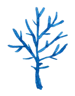 手绘水彩艺术圣诞节冬季树木雪花麋鹿元素免扣PNG图片 (17)