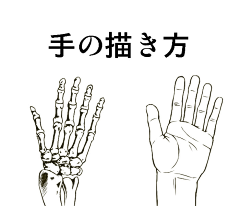 画沙画的範範采集到人体结构