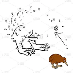 数字游戏猕猴桃