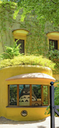 #摄影（风景-山水-春天-绿色系-壁纸）#