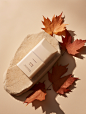 geomyidae_A_box_of_skin_care_lay_flat_on_a_brown_stone_a_few_wi_7bce6852-eb33-40dc-9c82-ba2b9ba10ef5