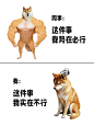 爆款趣味对比梗图小红书封面aigc