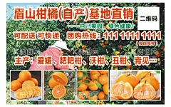 橘子海报  - 源文件下载【酷图网】橘子海报,桔子,橘子,冰糖桔,砂糖桔,蜜橘,砂糖橘,桔子新鲜,皇帝柑,脐橙,甜橙,橙子海报,橙子展架,水果海报,水果展架,橙子包装,皇帝青果柑,新鲜水果,甜橙子,新鲜采摘,冰糖橙,励志橙,鲜橙,广西皇帝柑,贡柑,橘子水果,新鲜桔子,蜜桔,柑橘,芦柑,椪柑,贵妃柑,橙子展板,