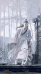 王一博 （陈情令）蓝忘机