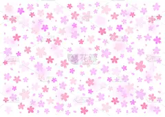 背景,绘画插图,樱花,矢量,华丽的,贺卡,传单,吉野樱花,女儿节,春天