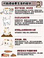 猫咪寄生虫大作战‼️猫咪驱虫要知道的事