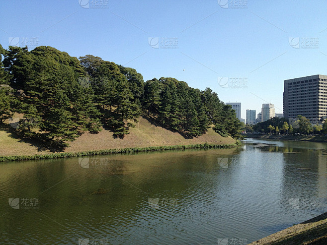 东京的公园，夏天