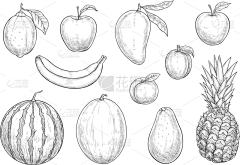 努力成为插画师采集到水果
