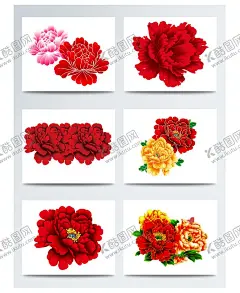 牡丹 【酷图网】牡丹花,牡丹花素材,牡丹花元素,牡丹花背景,牡丹花底纹,牡丹花封面,牡丹花logo,牡丹花标志,牡丹,牡丹素材,牡丹元素,牡丹背景,牡丹海报,牡丹封面,牡丹工笔画,牡丹花工笔画,牡丹油画,牡丹花油画,牡丹花摄影,牡丹花剪影,金色牡丹,金色牡丹花,牡丹花花瓣,牡丹花瓣,牡丹剪影,国画牡丹,牡丹花国画