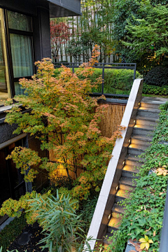 朝生采集到· Landscape ︱庭院 Courtyard